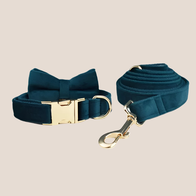 Ocean Blue Velvet Engraved Pet Set
