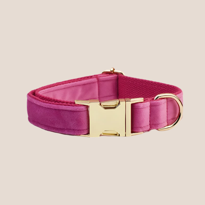 Dark Pink Velvet Engraved Pet Set