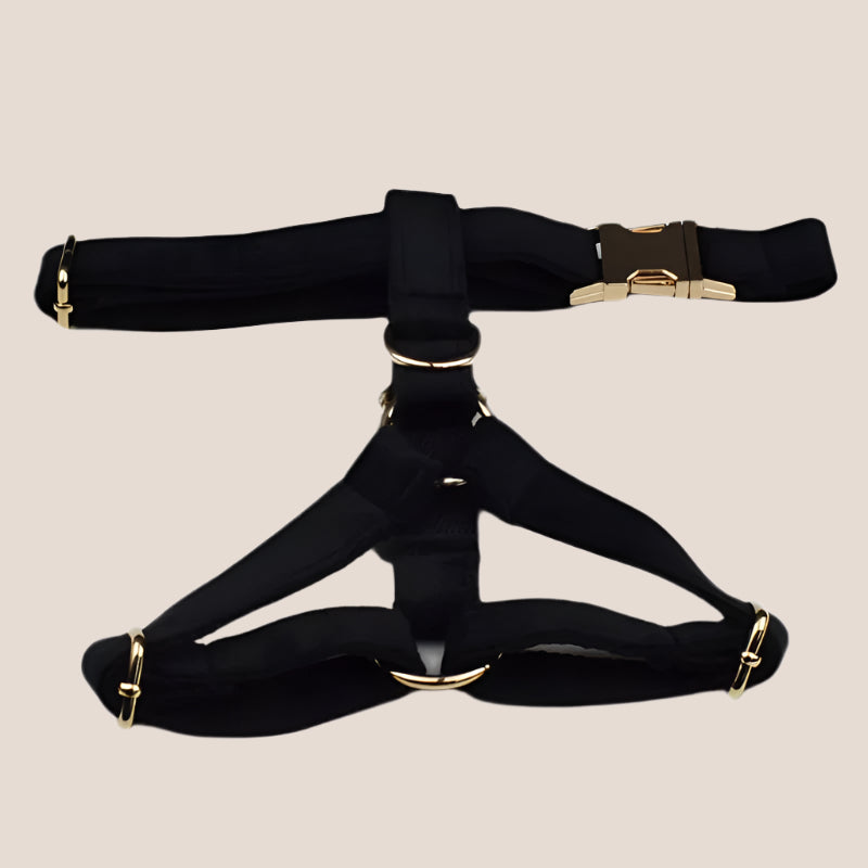 Black Velvet Engraved Pet Set