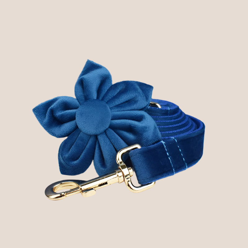 Royal Blue Velvet Engraved Pet Set