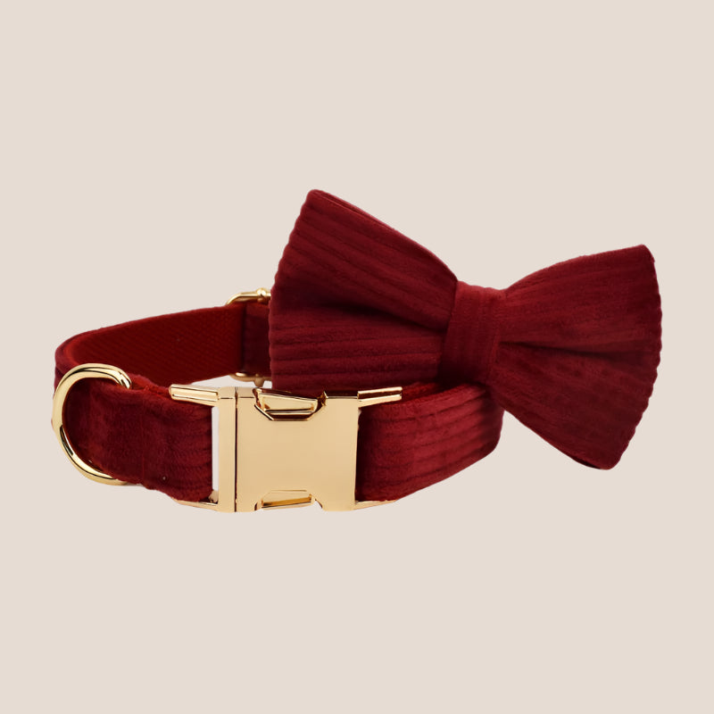 Personalized Pet ID Collar, Harness Leash & Accessories Set Maroon Corduroy