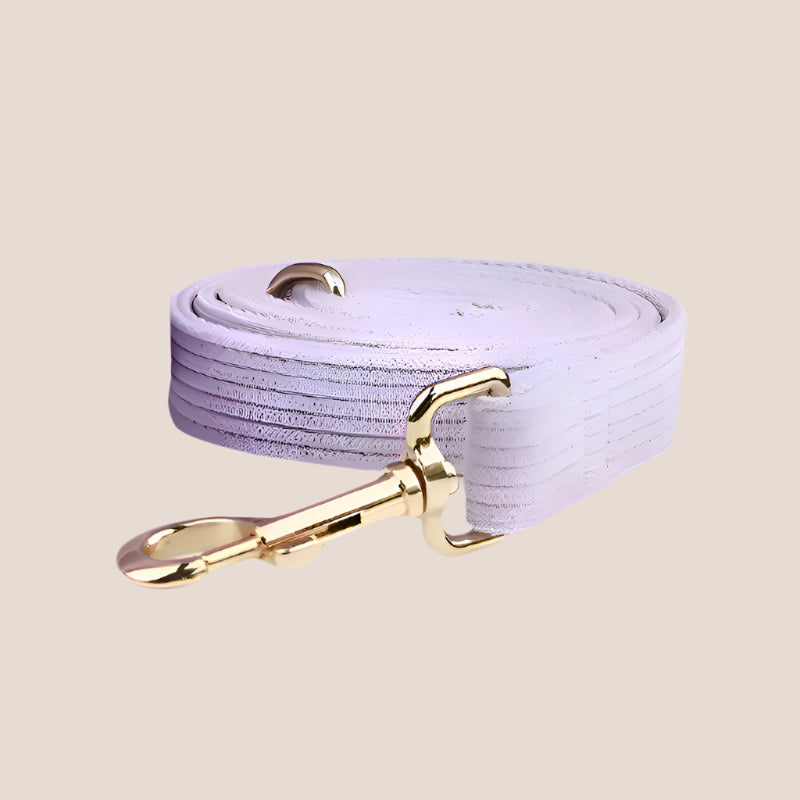 Personalized Pet ID Collar, Harness Leash & Accessories Set Lilac Corduroy