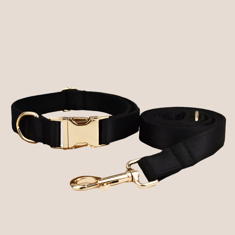 Personalized Pet ID Collar, Harness Leash & Accessories Set Black Satin
