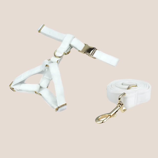 White Velvet Engraved Pet Set