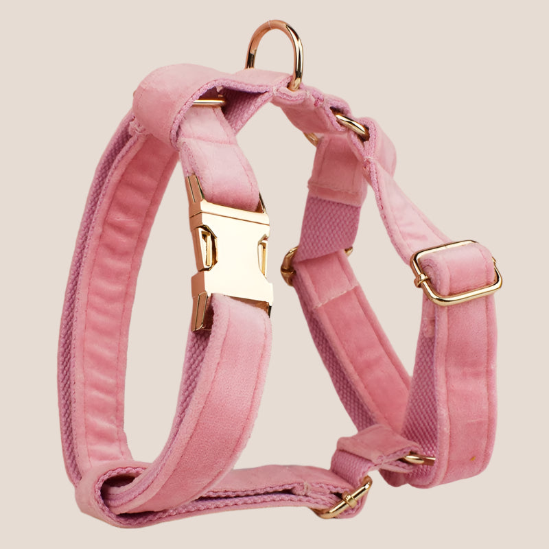 Baby Pink Velvet Engraved Pet Set