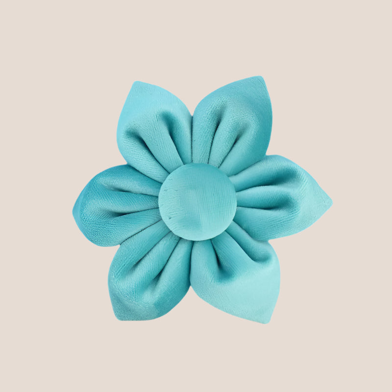 Turquoise Velvet Engraved Pet Set