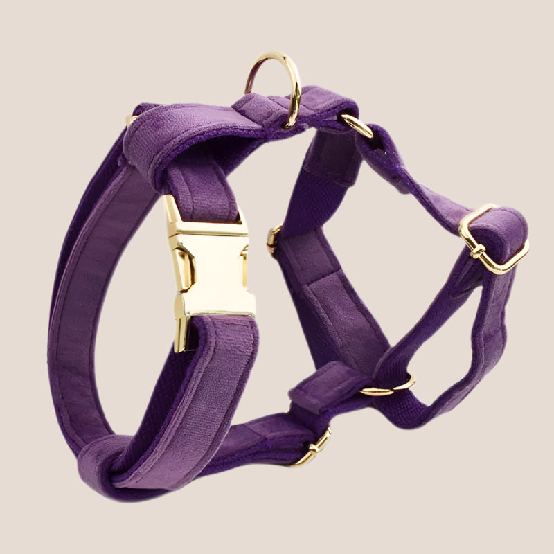 Purple Velvet Engraved Pet Set