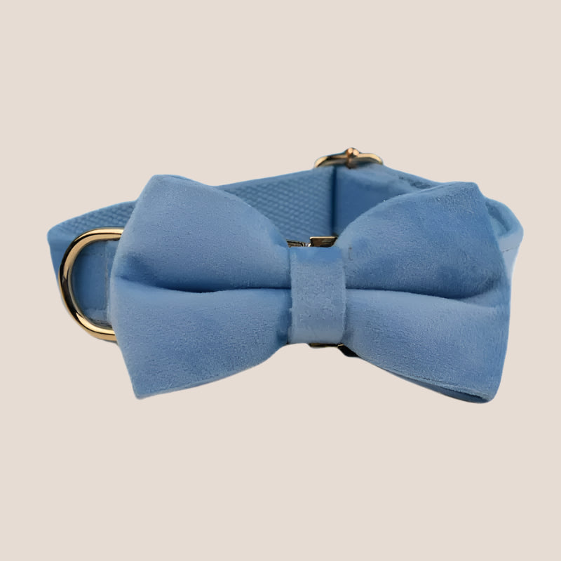 Personalized Pet ID Collar, Harness Leash & Accessories Set Light Blue Velvet
