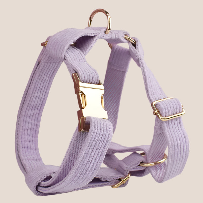 Personalized Pet ID Collar, Harness Leash & Accessories Set Lilac Corduroy