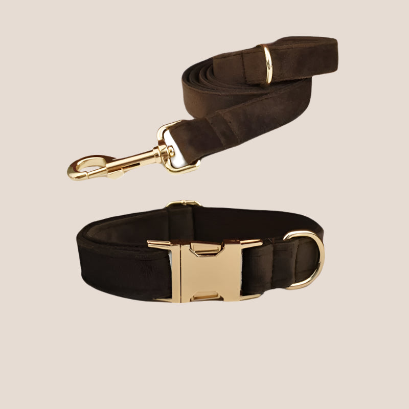 Personalized Pet ID Collar, Harness Leash & Accessories Set Brown Velvet