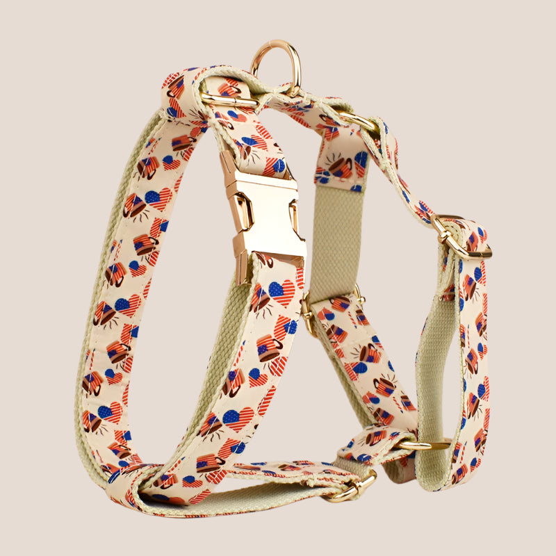Personalized Pet ID Collar, Harness Leash & Accessories Set USA Flag