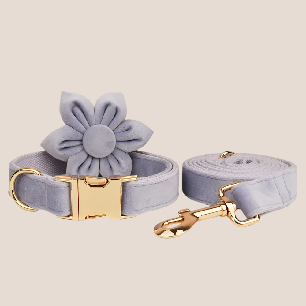 Personalized Pet ID Collar, Harness Leash & Accessories Set Lilac Velvet