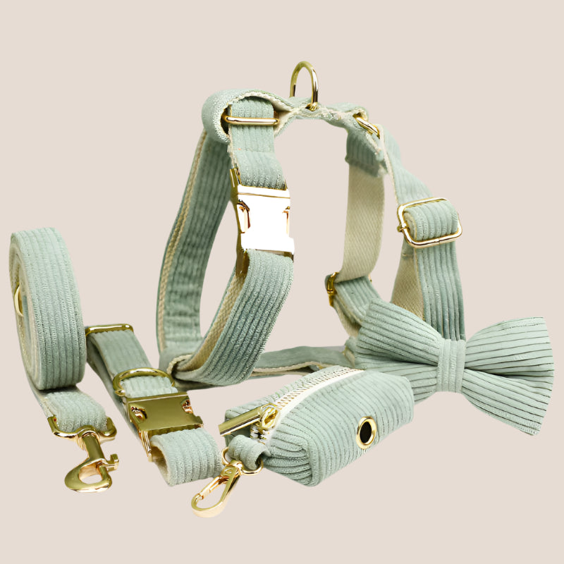 Green Corduroy Engraved Pet Set