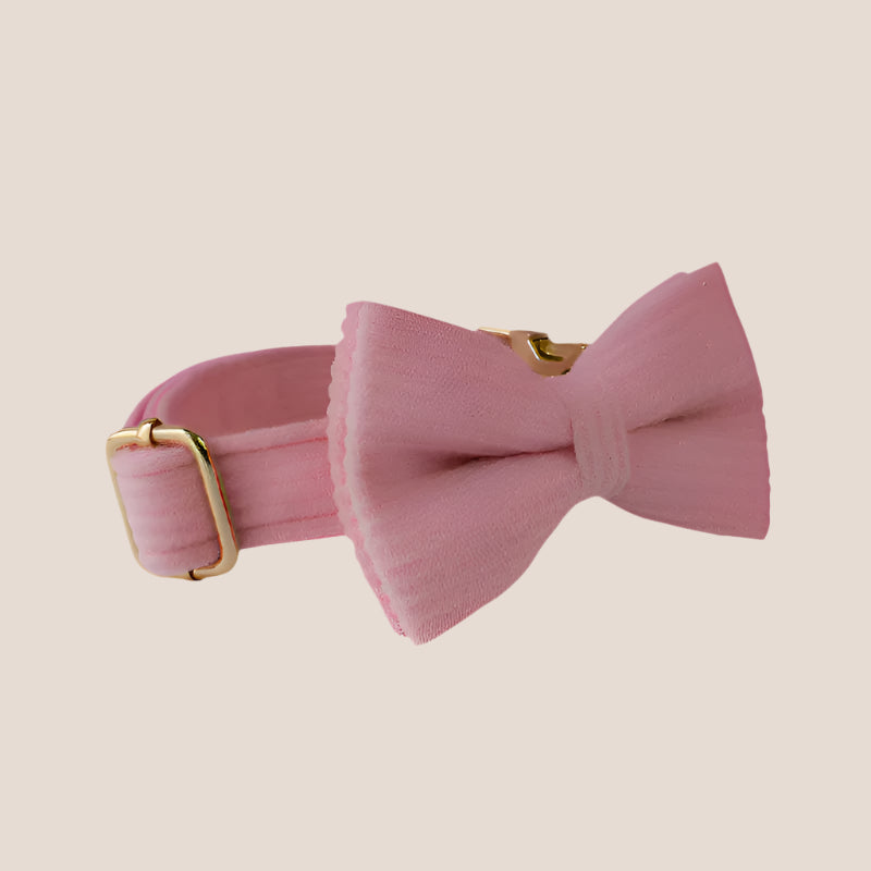 Personalized Pet ID Collar, Harness Leash & Accessories Set Royal Pink Corduroy