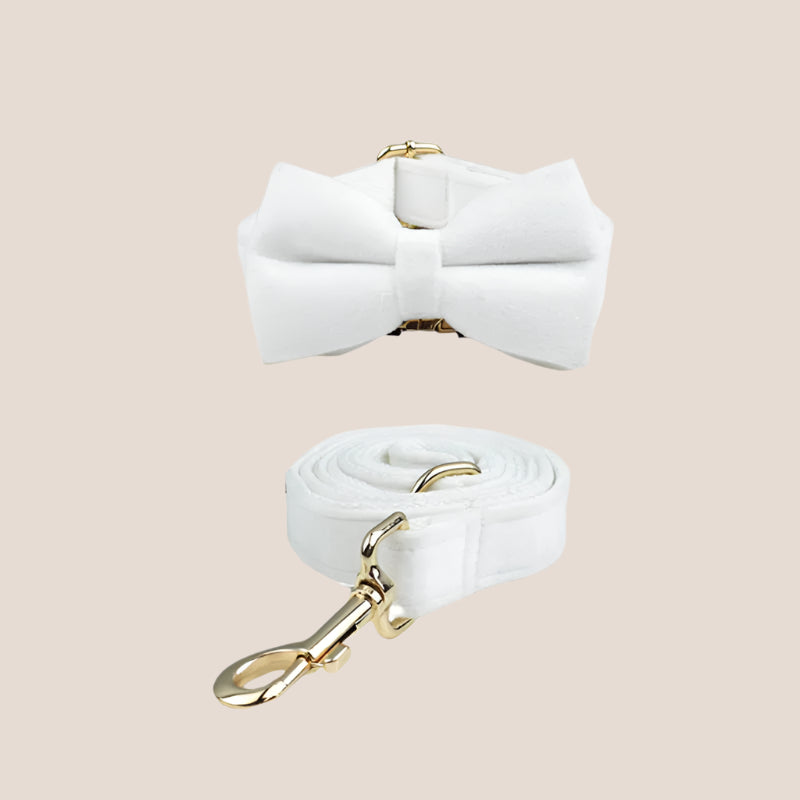 White Velvet Engraved Pet Set