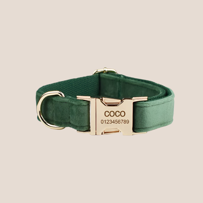 Forest Green Velvet Engraved Pet Set