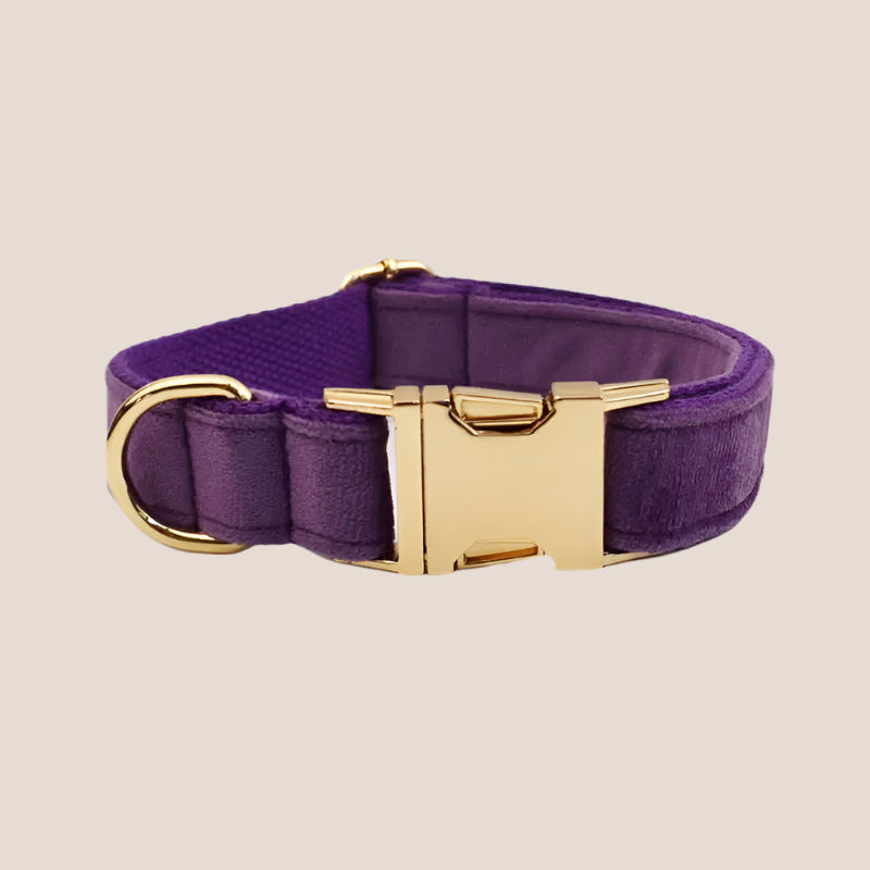Purple Velvet Engraved Pet Set