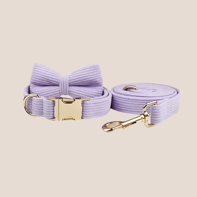 Personalized Pet ID Collar, Harness Leash & Accessories Set Lilac Corduroy