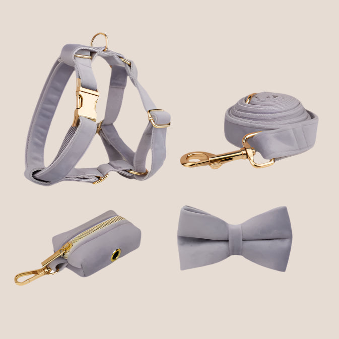 Personalized Pet ID Collar, Harness Leash & Accessories Set Lilac Velvet