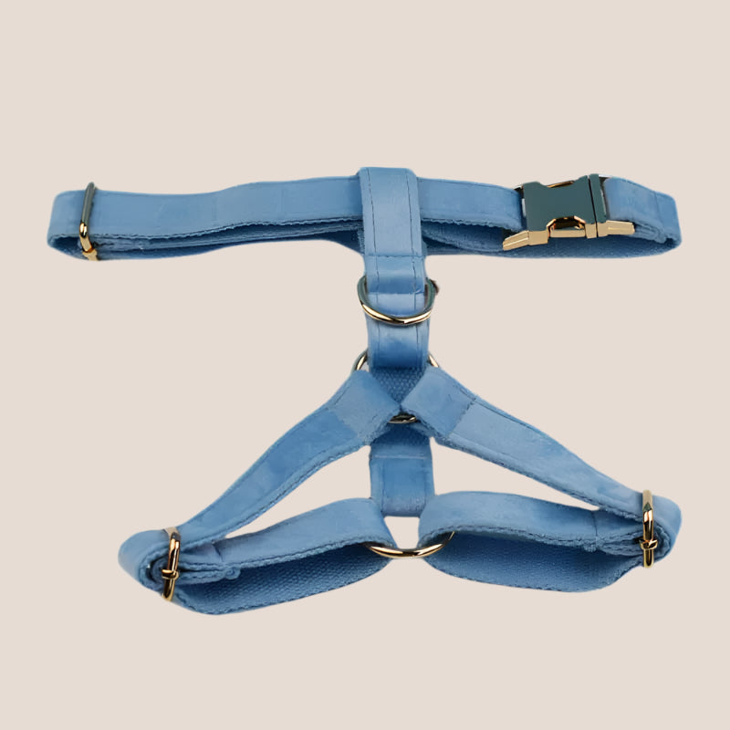 Personalized Pet ID Collar, Harness Leash & Accessories Set Light Blue Velvet