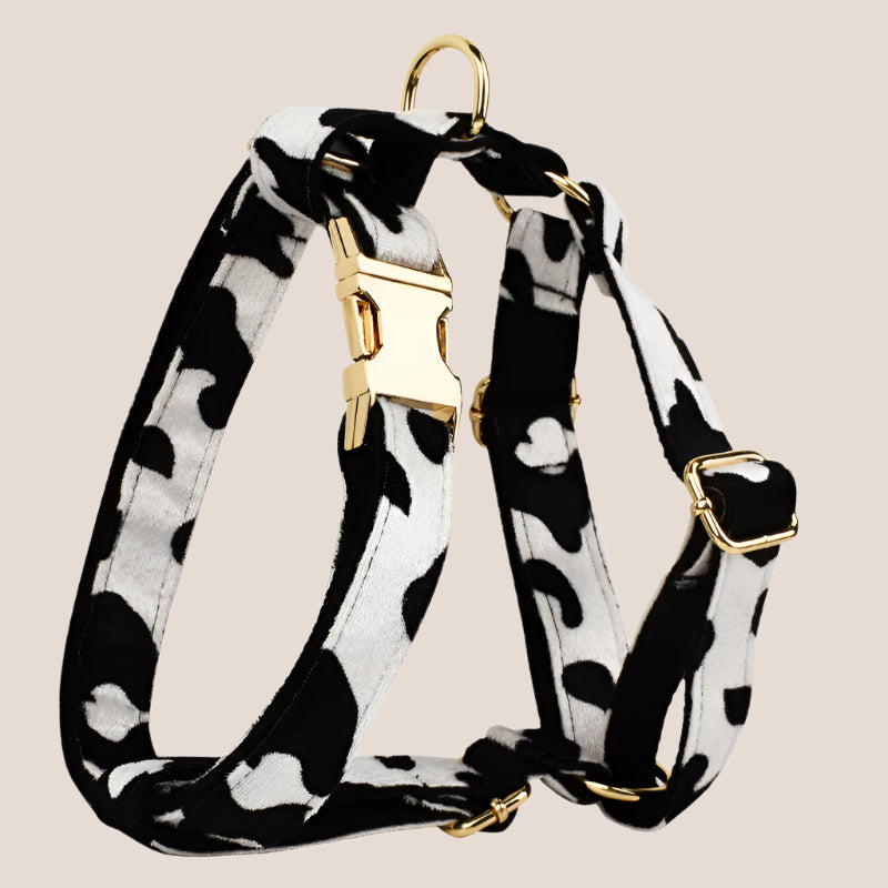 Personalized Pet ID Collar, Harness Leash & Accessories Set Cow Print Velvet