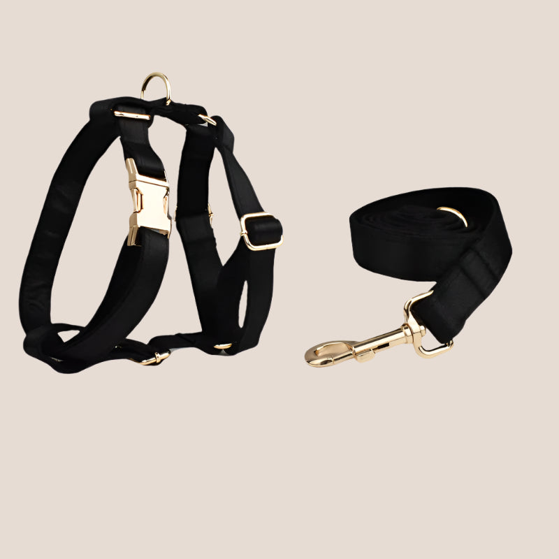 Personalized Pet ID Collar, Harness Leash & Accessories Set Black Satin