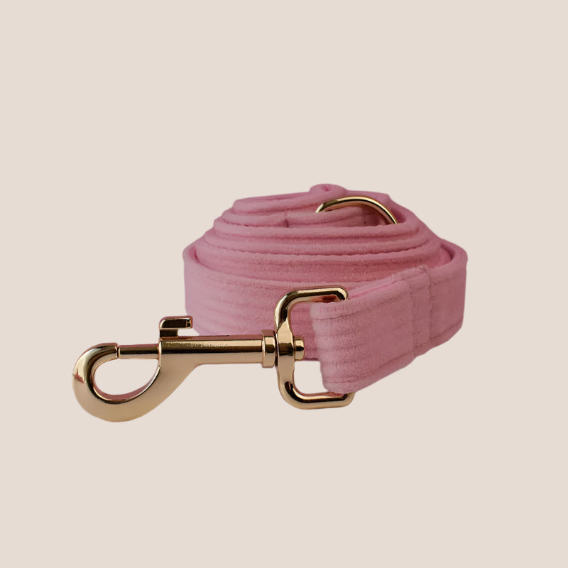 Personalized Pet ID Collar, Harness Leash & Accessories Set Royal Pink Corduroy