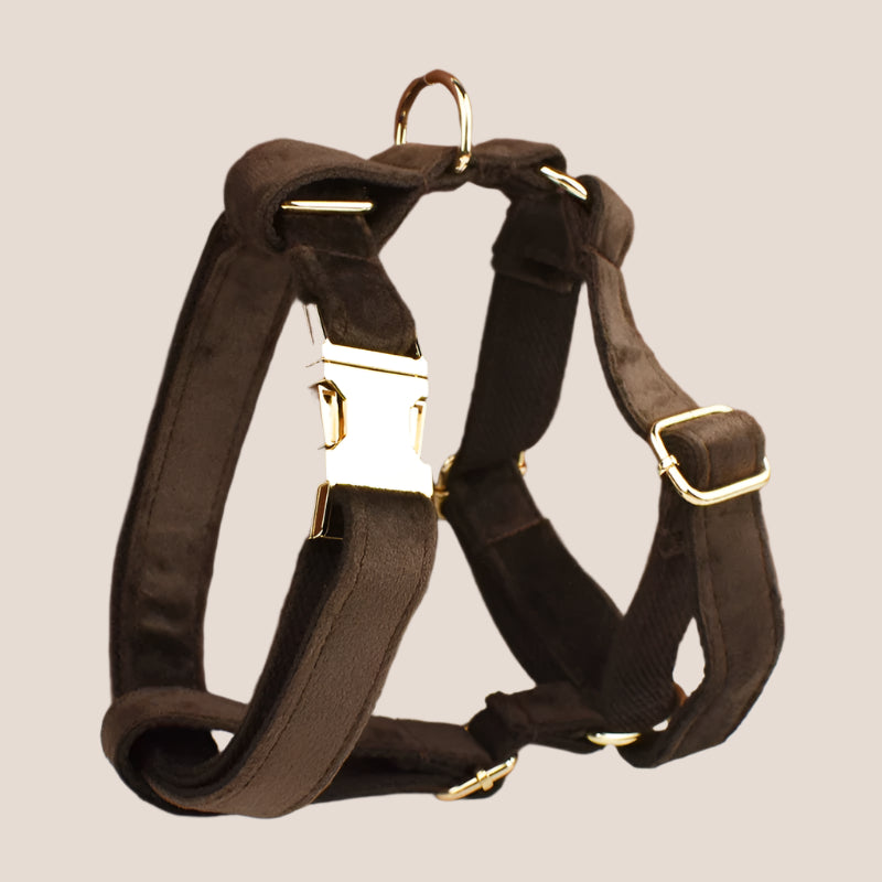 Personalized Pet ID Collar, Harness Leash & Accessories Set Brown Velvet