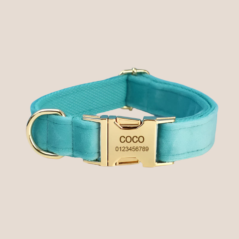 Turquoise Velvet Engraved Pet Set
