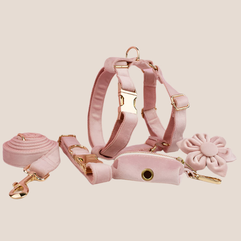 Personalized Pet ID Collar, Harness Leash & Accessories Set Pale Pink Velvet
