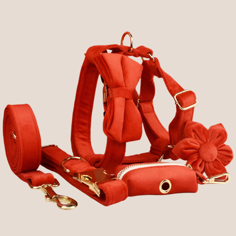 Red Velvet Engraved Pet Set