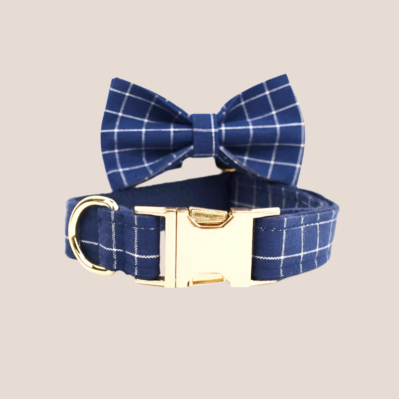 Personalized Pet ID Collar, Harness Leash & Accessories Set Blue Grid