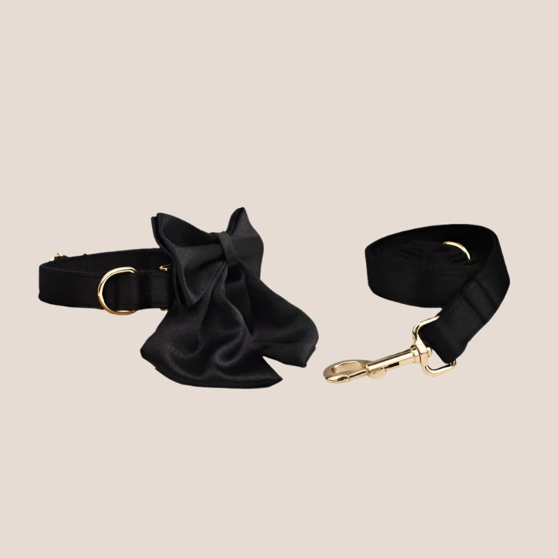 Personalized Pet ID Collar, Harness Leash & Accessories Set Black Satin