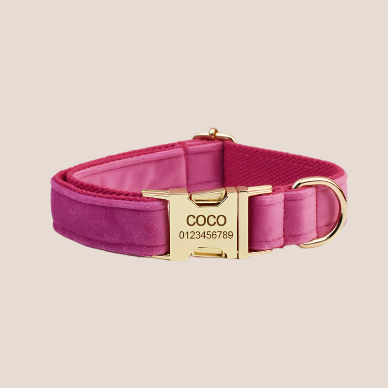 Dark Pink Velvet Engraved Pet Set