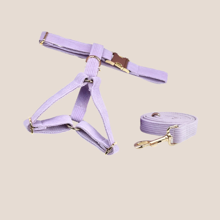 Personalized Pet ID Collar, Harness Leash & Accessories Set Lilac Corduroy