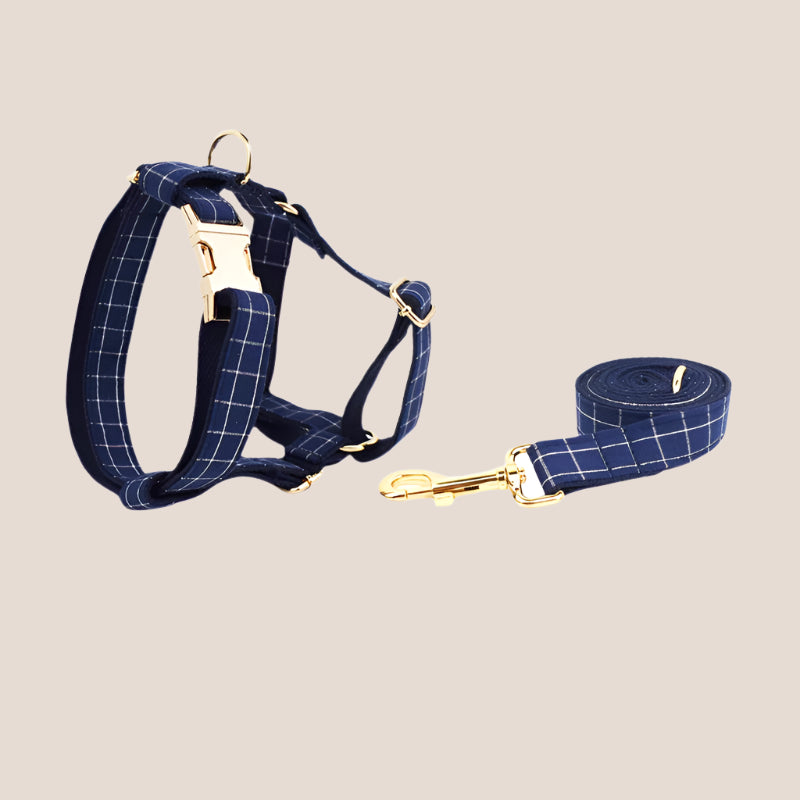 Personalized Pet ID Collar, Harness Leash & Accessories Set Blue Grid
