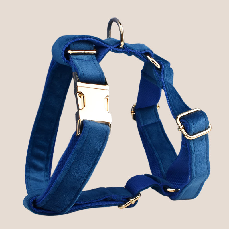 Royal Blue Velvet Engraved Pet Set