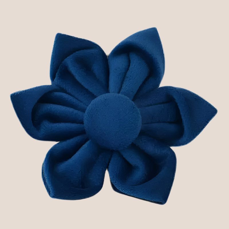 Royal Blue Velvet Engraved Pet Set