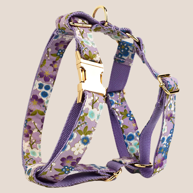 Personalized Pet ID Collar, Harness Leash & Accessories Set Purple Floral