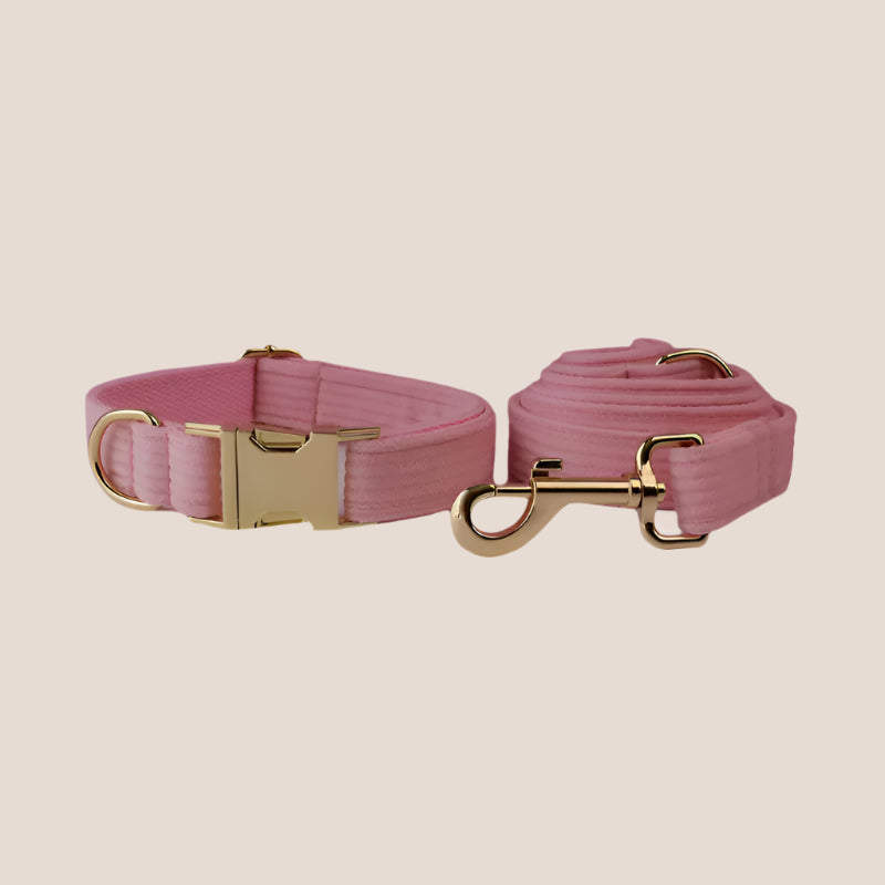 Personalized Pet ID Collar, Harness Leash & Accessories Set Royal Pink Corduroy