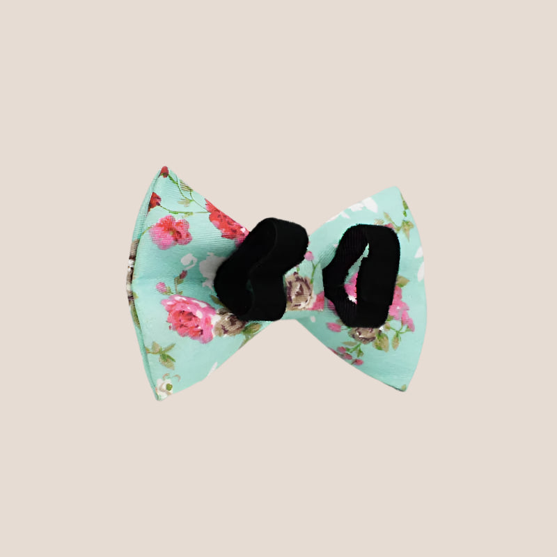 Personalized Pet ID Collar, Harness Leash & Accessories Set Mint Floral