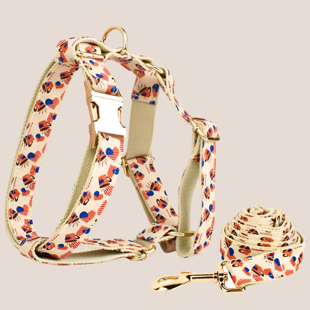 Personalized Pet ID Collar, Harness Leash & Accessories Set USA Flag