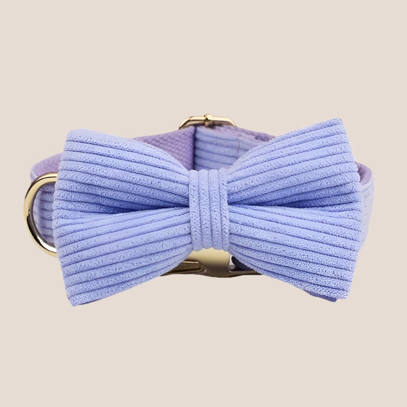 Personalized Pet ID Collar, Harness Leash & Accessories Set Purple Corduroy
