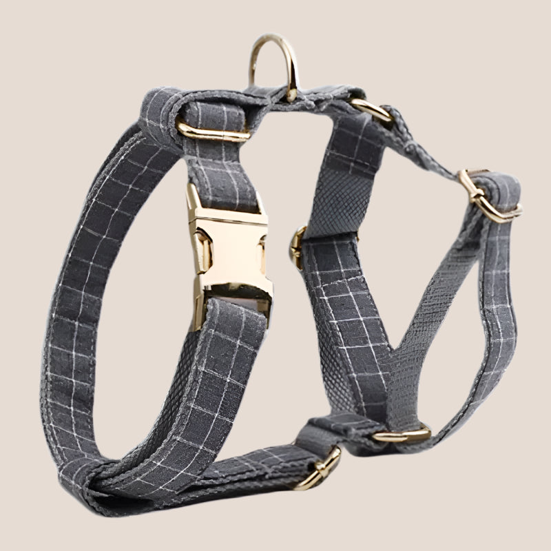Personalized Pet ID Collar, Harness Leash & Accessories Set Grey Grid