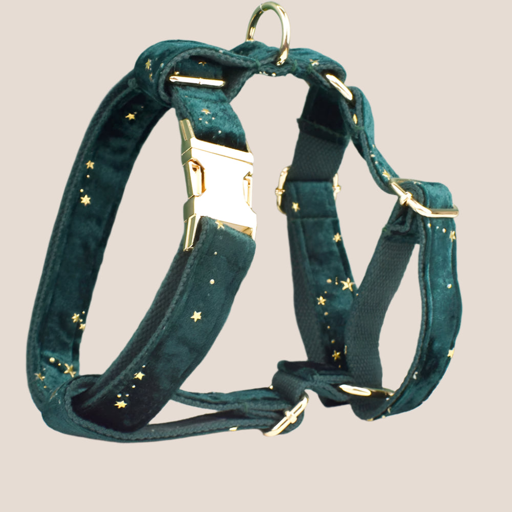 Dark Green & Gold Stars Velvet Engraved Pet Set
