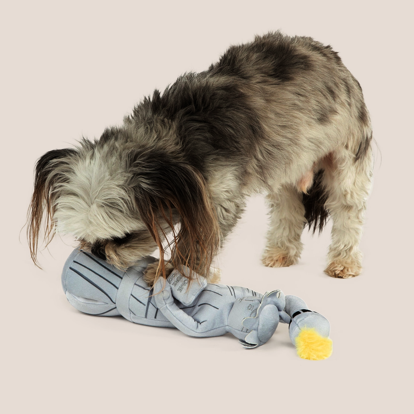 COME HERE BUDDY - Nose Work Toys
