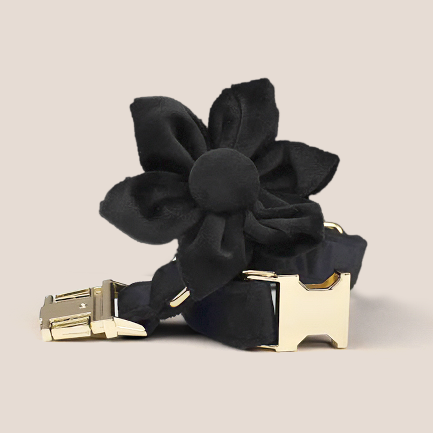 Black Velvet Engraved Pet Set