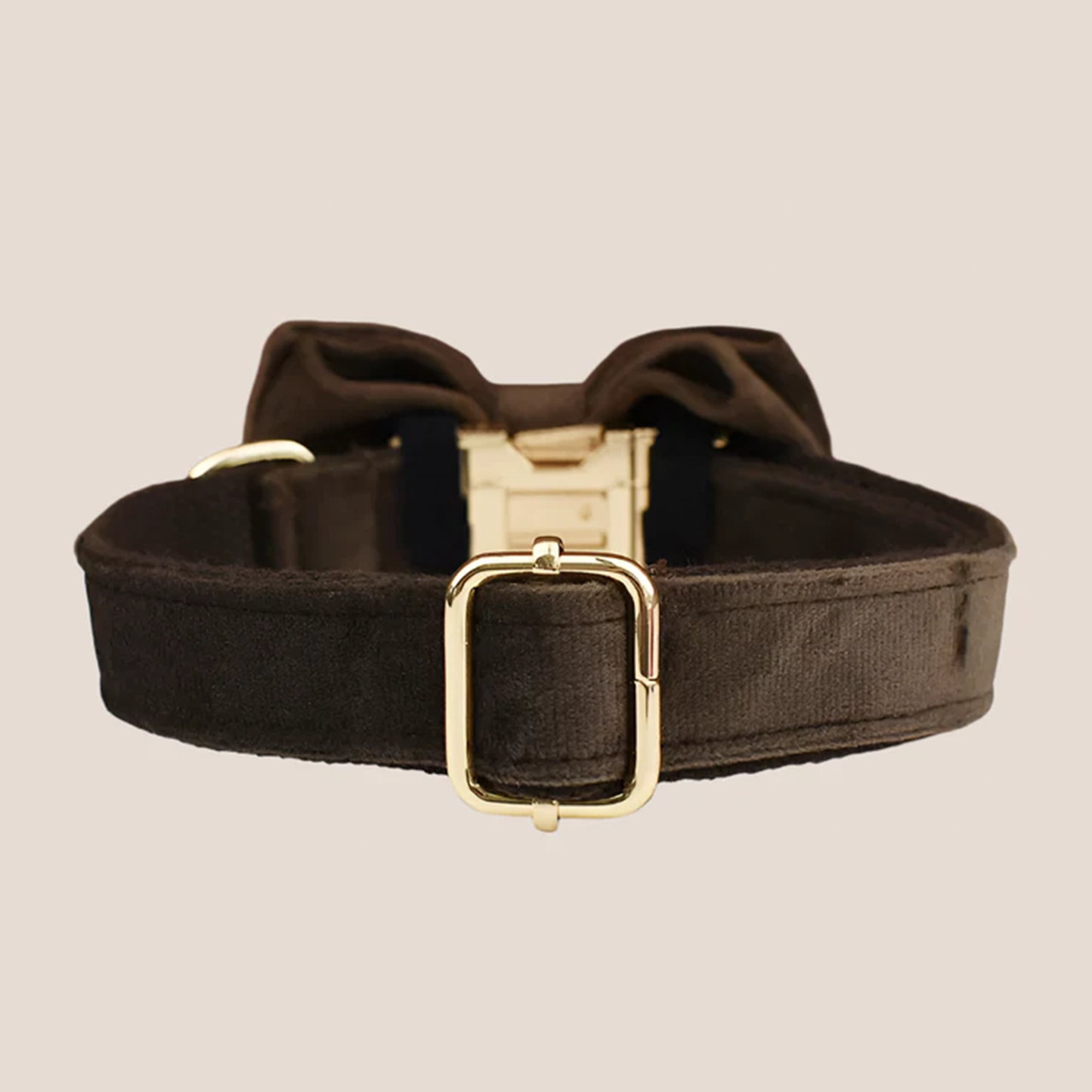 Personalized Pet ID Collar, Harness Leash & Accessories Set Brown Velvet
