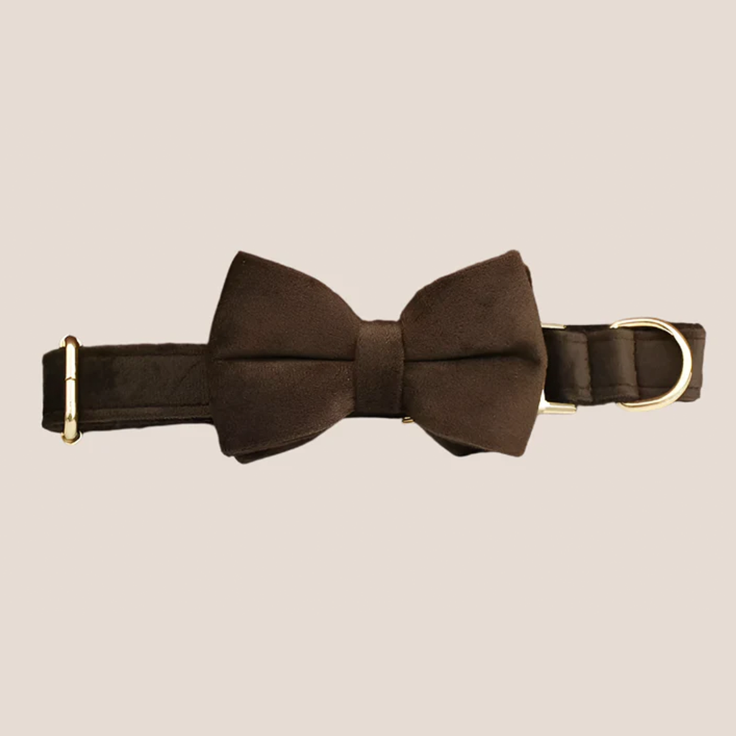 Personalized Pet ID Collar, Harness Leash & Accessories Set Brown Velvet
