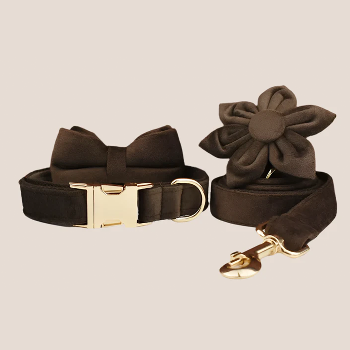 Personalized Pet ID Collar, Harness Leash & Accessories Set Brown Velvet